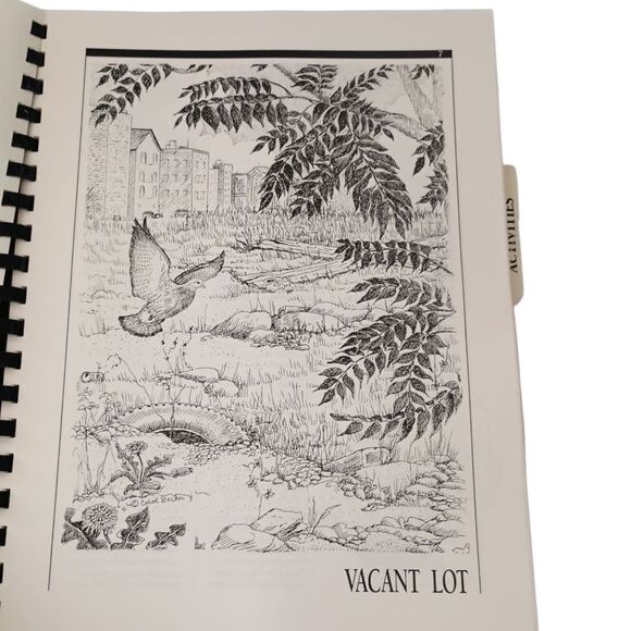 Bridges To The Natural World Audubon Society Teachers Guide Vintage 1992 Spiral. - Picture 8 of 16